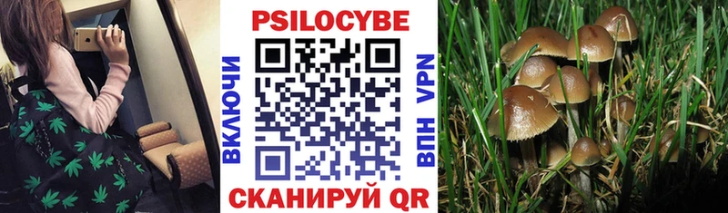 Псилоцибиновые грибы мухоморы  мега tor  Калуга 