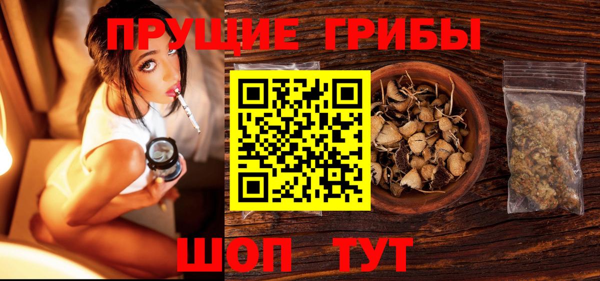 Псилоцибиновые грибы MAGIC MUSHROOMS  Вход с VPN  Калуга 